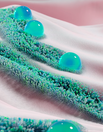Cómo equilibrar la Flora Intestinal